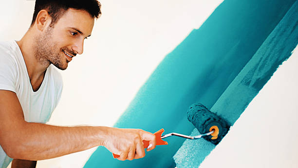 Mold Documentation for Insurance Claims in Wayne City, IL