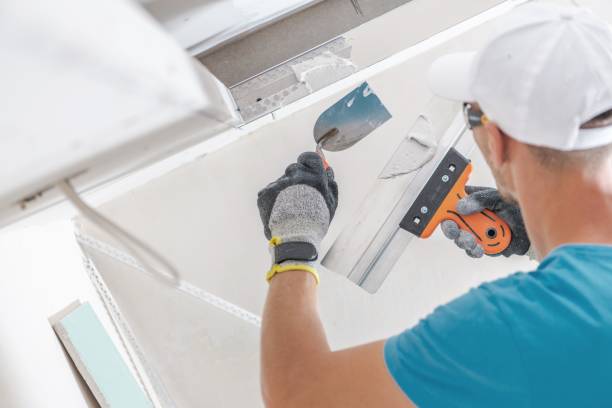 Best Mold Damage Restoration  in Wayne City, IL